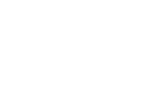 Diane Ortiz for Superior Court Judge 2026